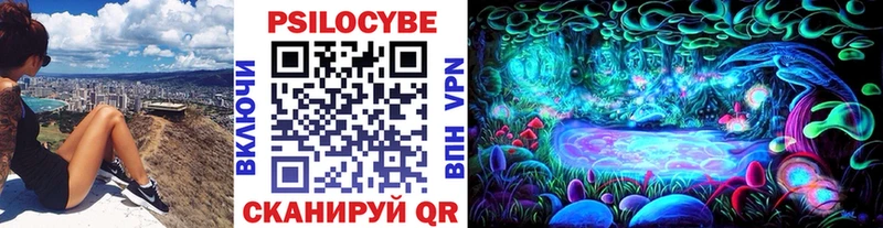 Галлюциногенные грибы MAGIC MUSHROOMS  где купить наркотик  Гулькевичи 